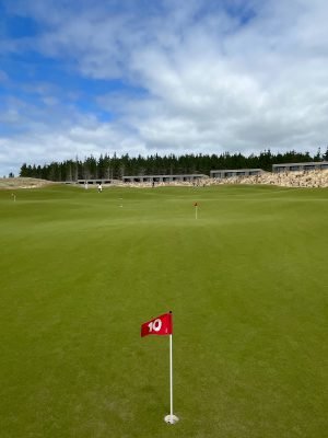 Te Arai North