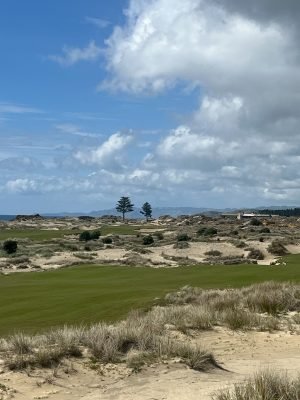 Tara Iti