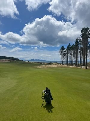 Te Arai North