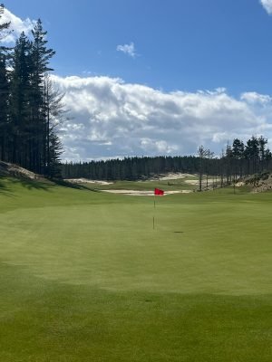Te Arai North