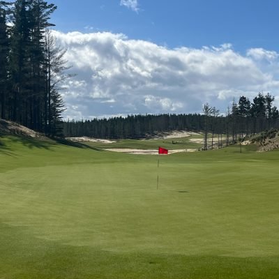 Te Arai North