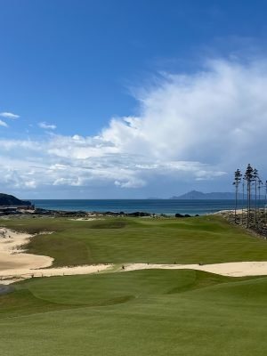 Te Arai North