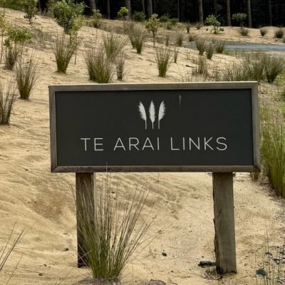 Te Arai South