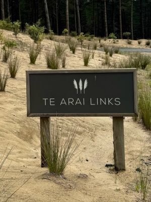 Te Arai North