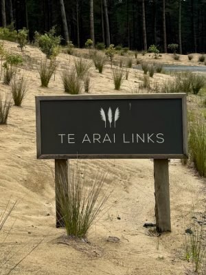 Te Arai North