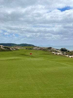 Te Arai South