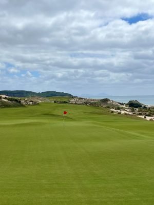 Te Arai South