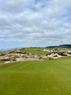 Te Arai South