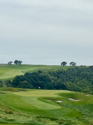 Kauri Cliffs