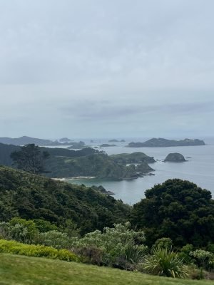 Kauri Cliffs