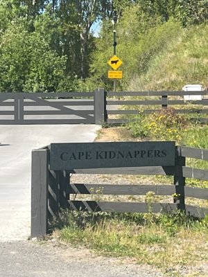 Cape Kidnappers
