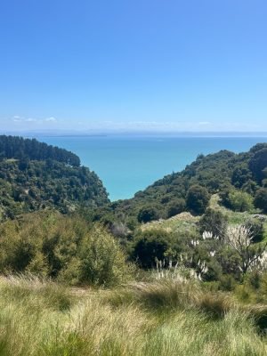 Cape Kidnappers