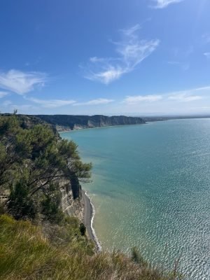 Cape Kidnappers