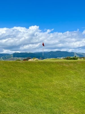 Paraparaumu Beach