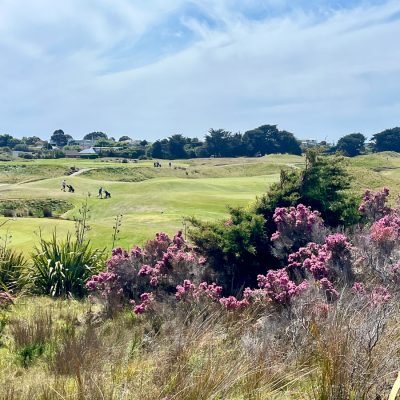 Paraparaumu Beach