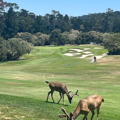 Spyglass Hill
