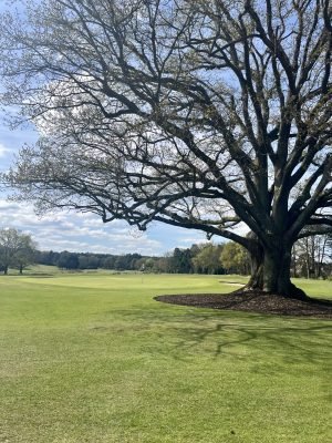 Sunningdale (Old), England