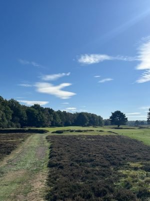 Walton Heath - Old course