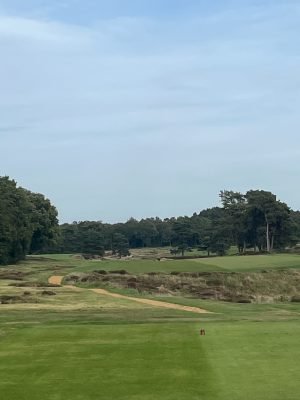 Walton Heath - Old course
