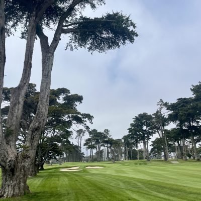 Harding Park
