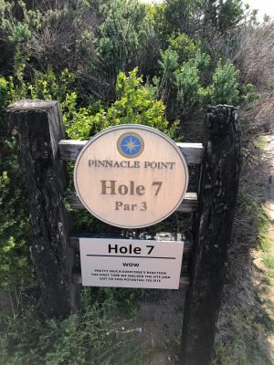 Pinnacle Point