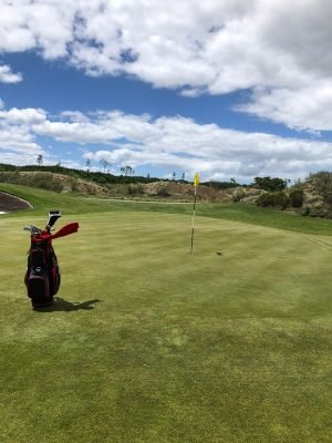 fancourt links