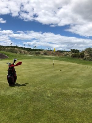 fancourt links