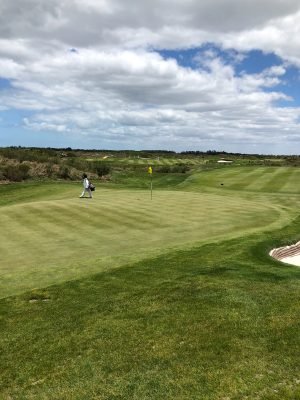 fancourt links