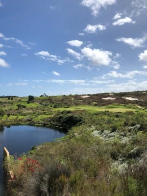 fancourt links
