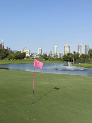 Emirates - Majlis course