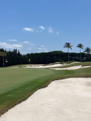 Seminole