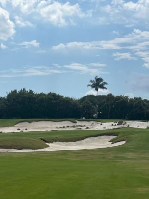 Seminole