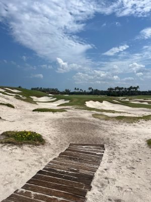 Seminole