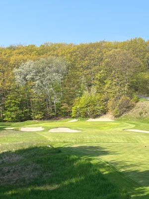 Crystal Downs
