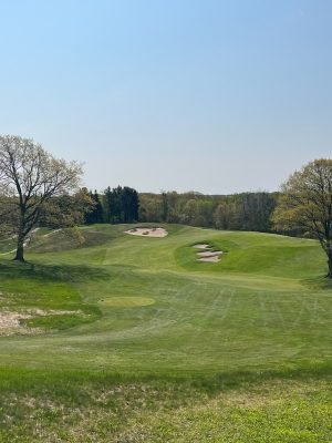 Crystal Downs
