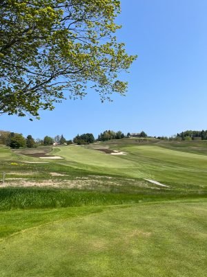 Crystal Downs