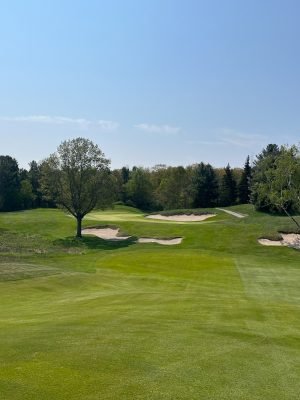 Crystal Downs