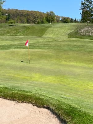 Crystal Downs