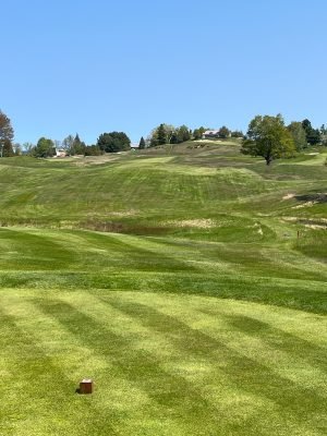 Crystal Downs