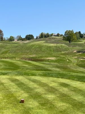 Crystal Downs