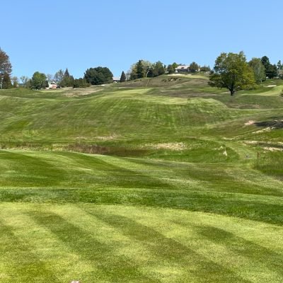 Crystal Downs