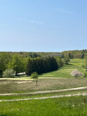 Crystal Downs