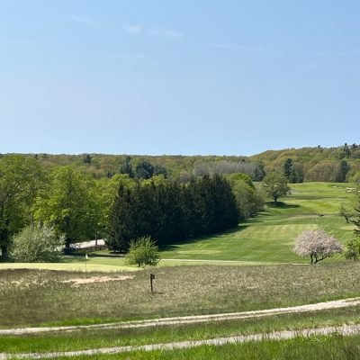 Crystal Downs
