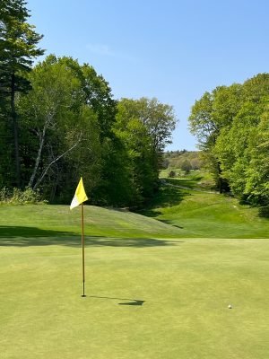 Crystal Downs