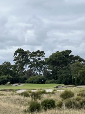 Kingston Heath