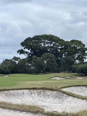 Kingston Heath