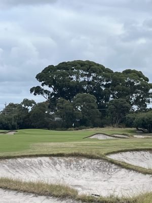 Kingston Heath