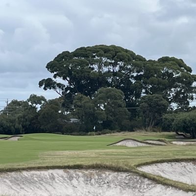 Kingston Heath