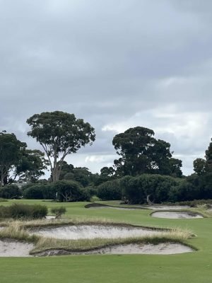 Kingston Heath
