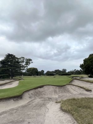 Kingston Heath